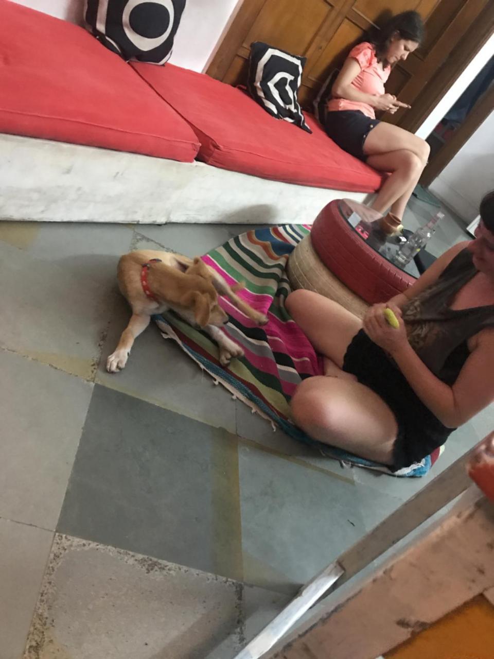 Doodle Rack Hostel Dzsaipur Kültér fotó