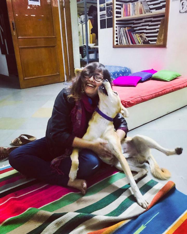 Doodle Rack Hostel Dzsaipur Kültér fotó